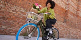 Swapfiets
