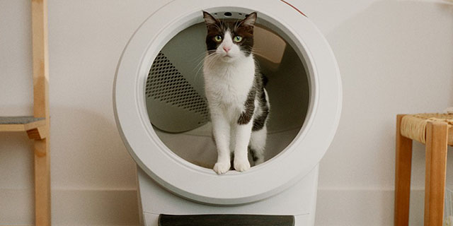 Litter-Robot by Whisker