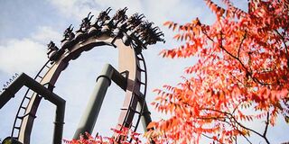 Thorpe Park