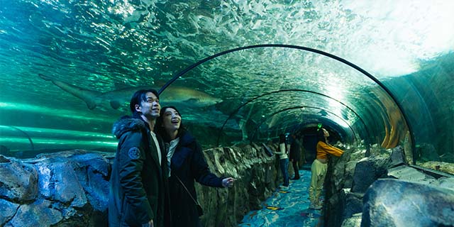 SEA LIFE Sydney Aquarium