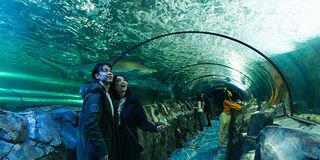 SEA LIFE Sydney Aquarium