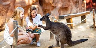 WILD LIFE Sydney Zoo