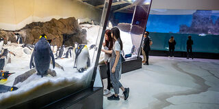SEA LIFE Melbourne Aquarium
