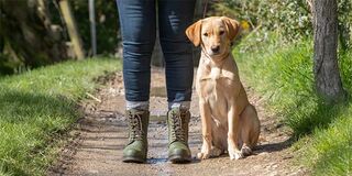 Bareback Footwear