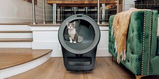 Litter-Robot by Whisker