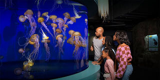 Aquarium of the Pacific