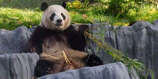 San Diego Zoo