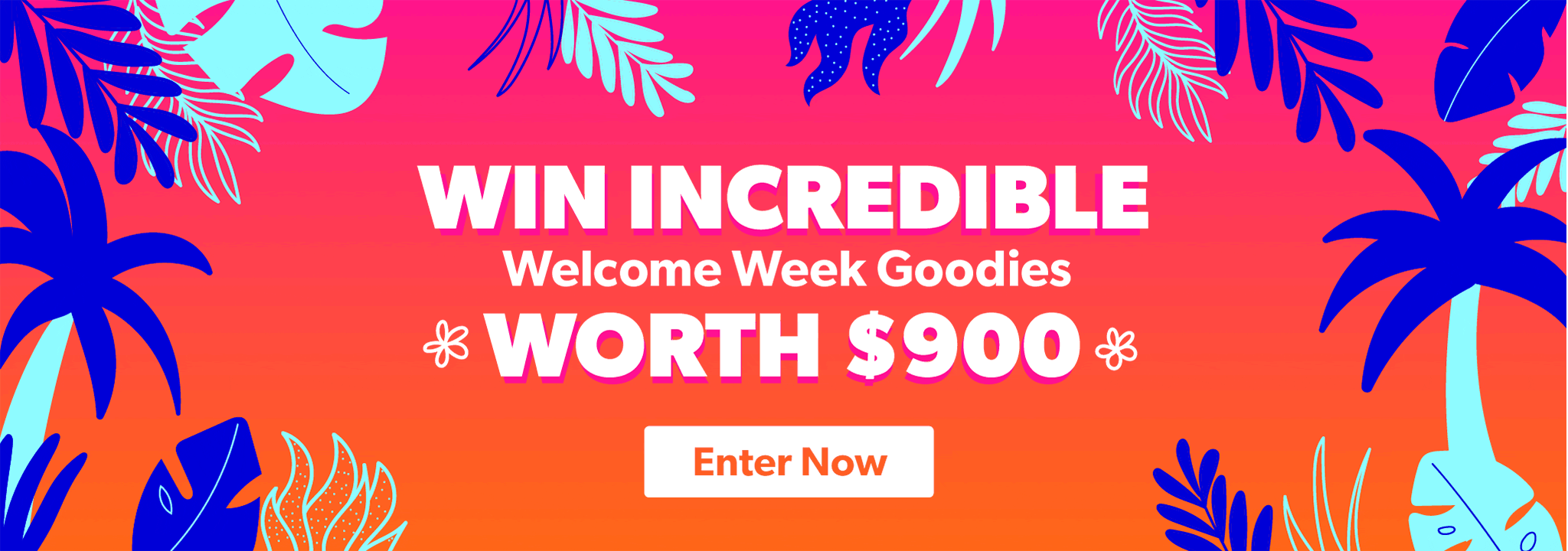 student beans nintendo